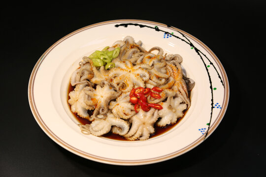八爪鱼