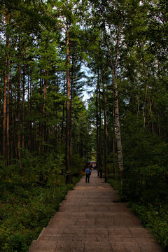 阿尔山森林公园