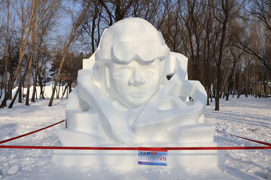 中国哈尔滨太阳岛国际雪雕艺术博览会