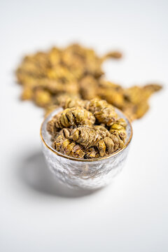 饱满的优质铁皮石斛干货