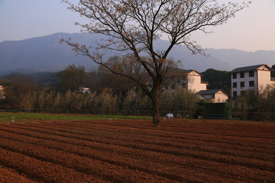 田地