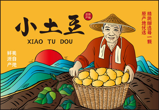 土豆包装插画