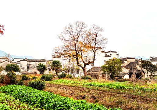 皖南山村