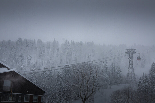 北海道熊牧场冬景雪景雾凇水墨画