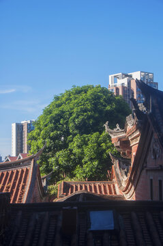 新旧房子