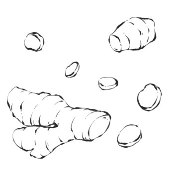 国风水墨调料食材姜线稿
