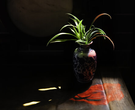 花艺