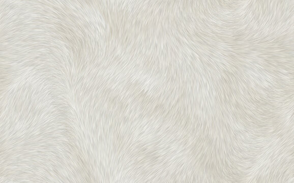 灰白色质感毛发皮毛纹理