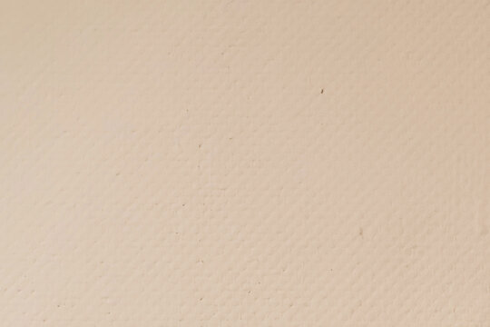 朴素洁白底纹