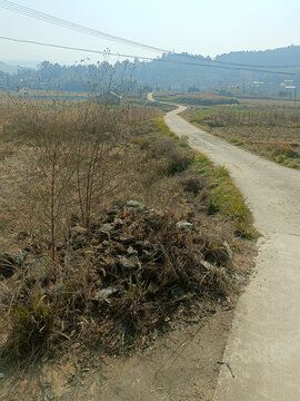 乡村小路