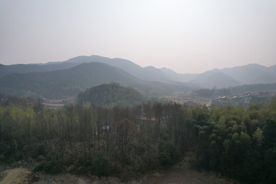 森林