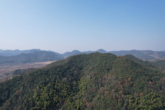 山峰林区