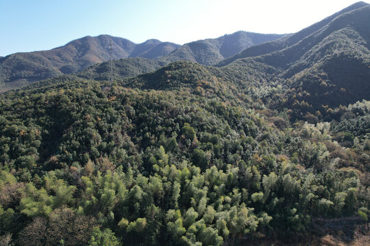 山林