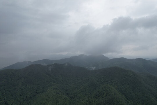 雾气