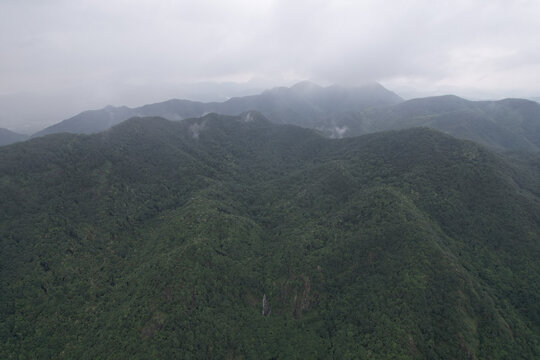 雾气