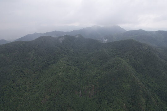 山林雾气