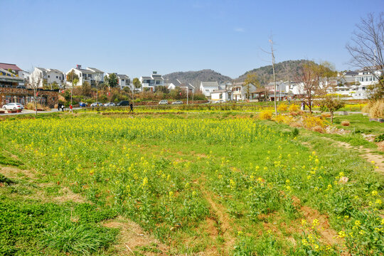 乡村美景