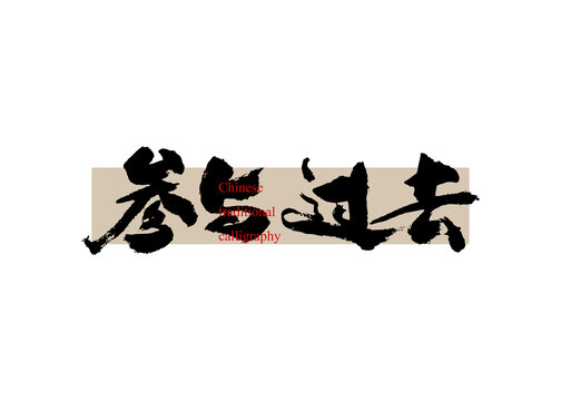 参与过去