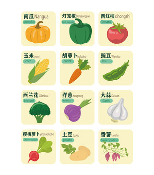蔬菜卡片