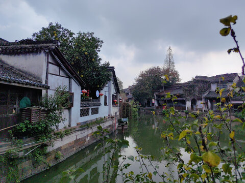新市古镇水乡美景