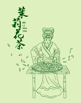 茉莉花茶包装插画