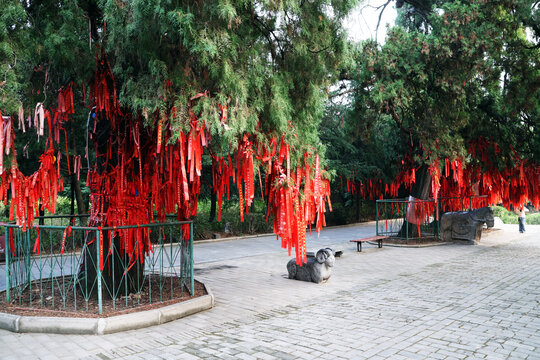祈福树
