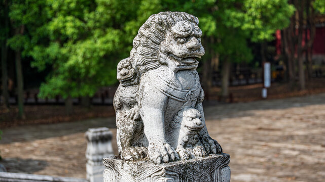 明显陵石狮子