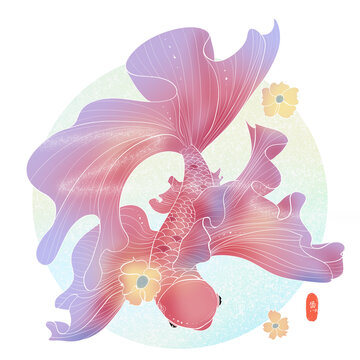 锦鲤锦鲤