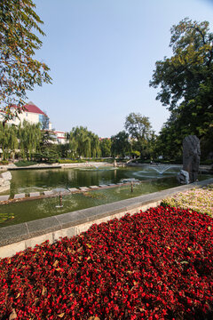 大学校园