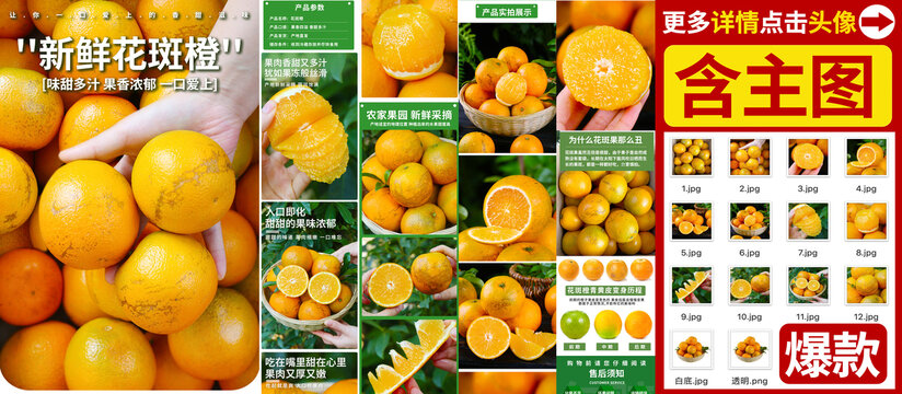 花斑橙详情