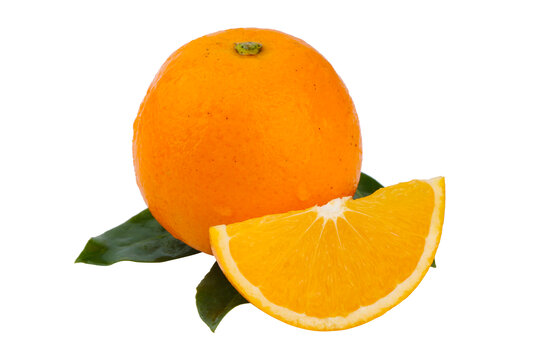冰糖橙