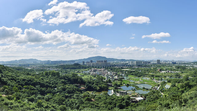 厦门乡村风光