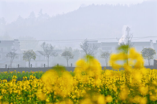 安徽龙川村