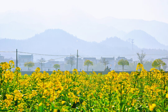 安徽龙川村