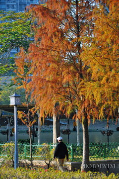 惠州金山湖公园风光