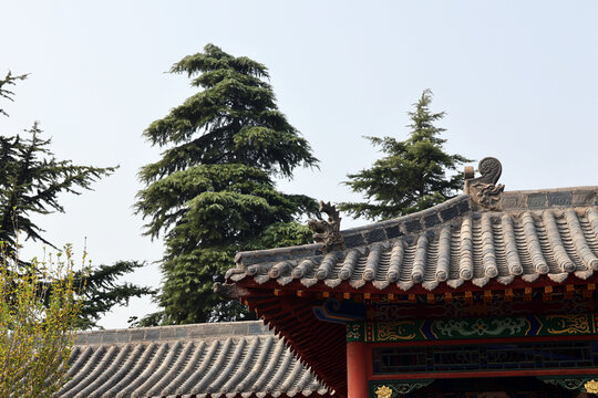 园林美景
