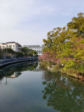 二月浣花溪公园