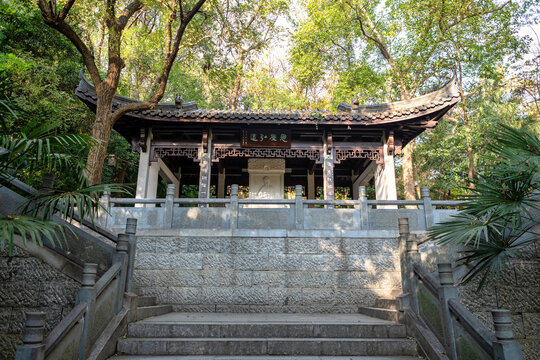 江苏省镇江北固山风景区的秋天风光