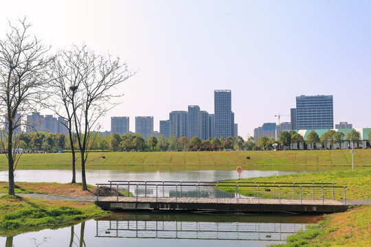 湿地景观