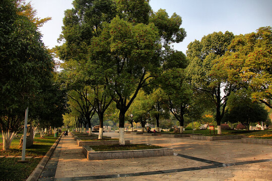 昆山城市公园
