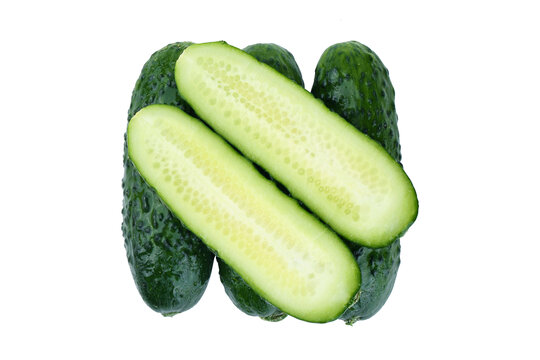 玛莎黄瓜