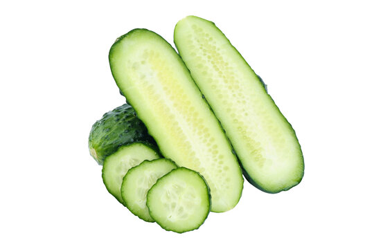 玛莎黄瓜