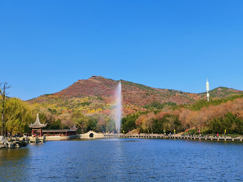 北京北宫森林公园秋景