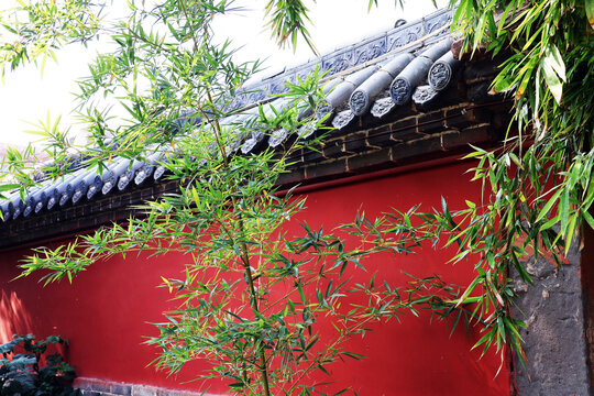 红墙绿竹