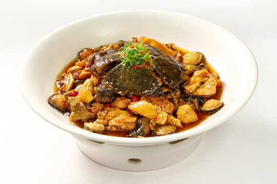 甲鱼煲