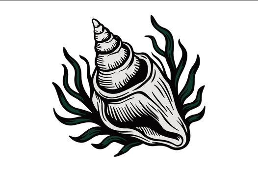 手绘线描版画海螺海草海洋包装插画