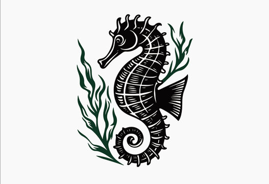 手绘线描版画海马海草海洋包装插画