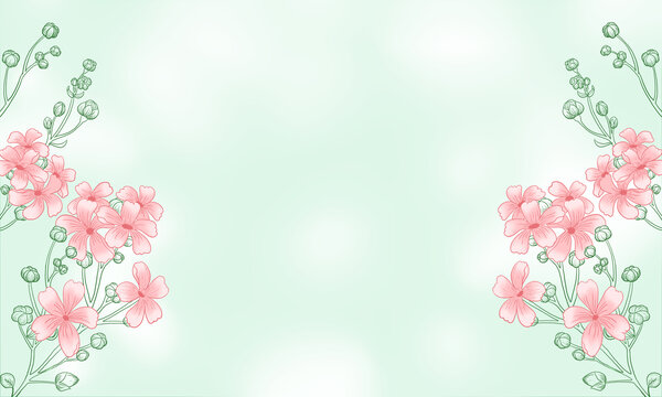 花朵背景
