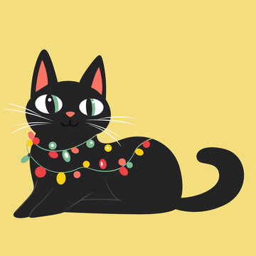 可爱的黑猫