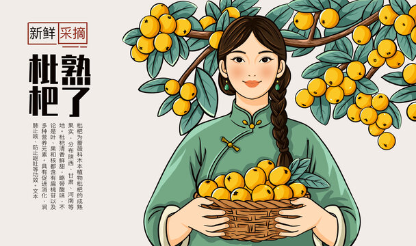枇杷包装插画